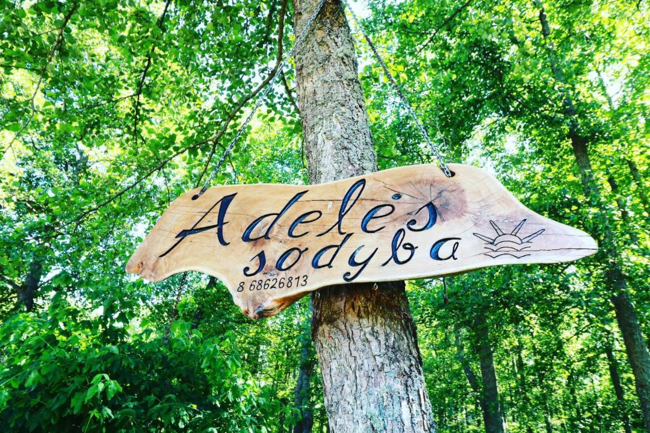 Namelis Nr 1 Adeles Sodyba Sturmai Εξωτερικό φωτογραφία